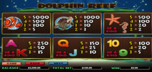 dolphin reef symbol payout